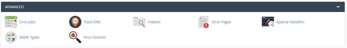 cPanel section for Advanced tools